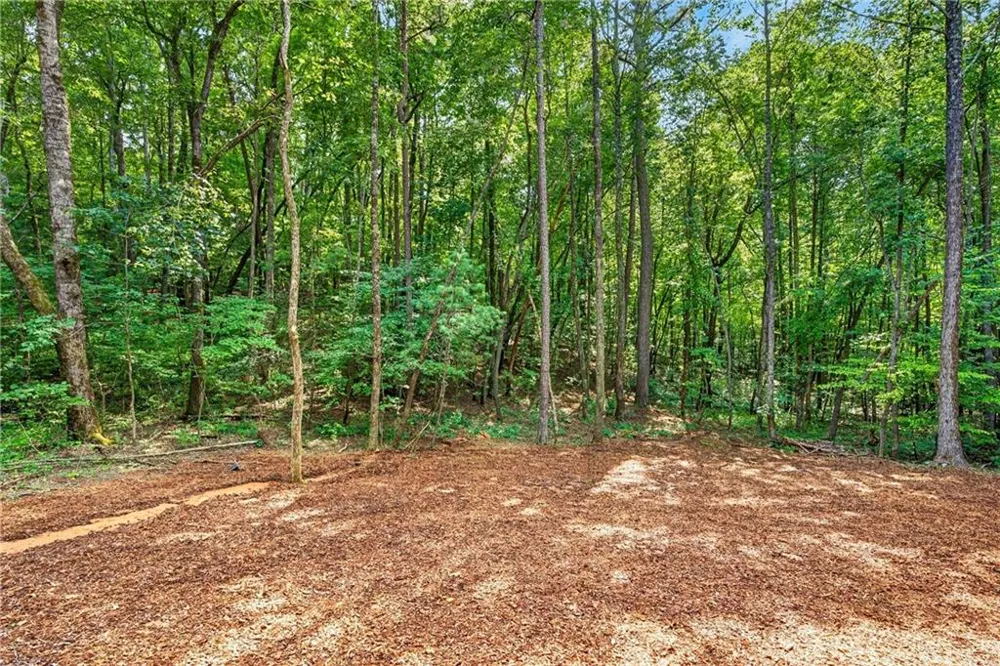 116 Reindeer Lane Talking Rock, GA 30175