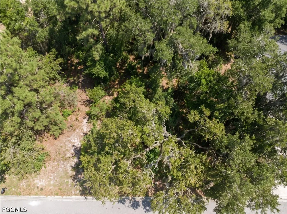 Purdue Street New Port Richey, FL 34654