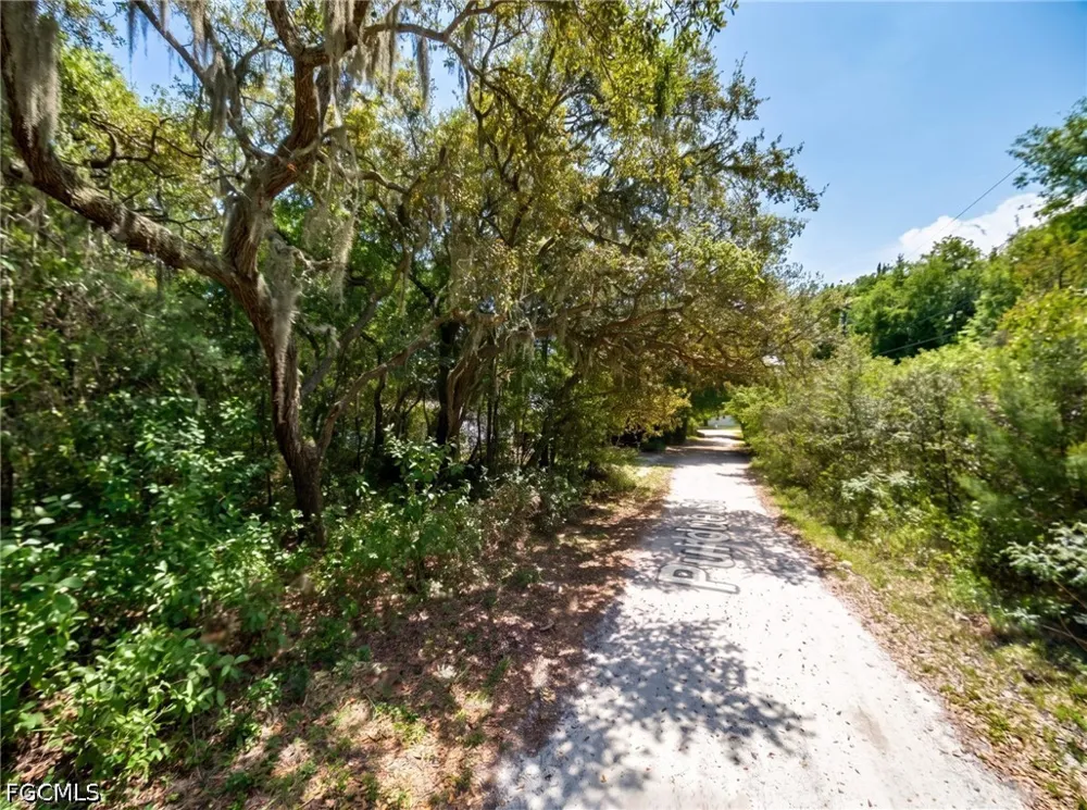 Purdue Street New Port Richey, FL 34654