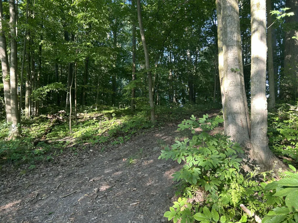5300 Lammers Road Hastings, MI 49058
