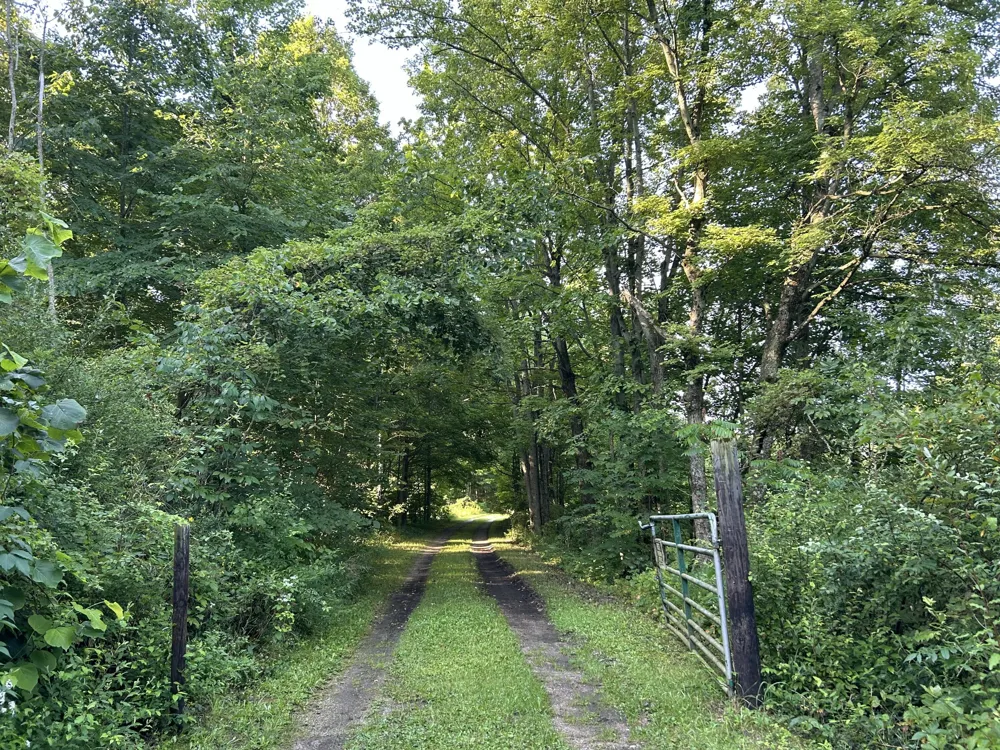 5300 Lammers Road Hastings, MI 49058