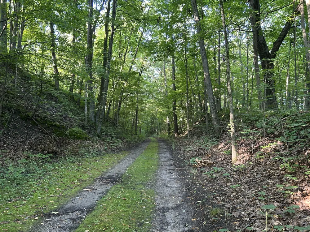 5300 Lammers Road Hastings, MI 49058