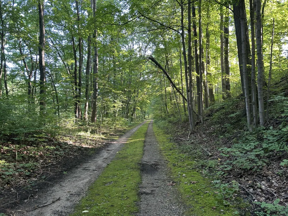 5300 Lammers Road Hastings, MI 49058