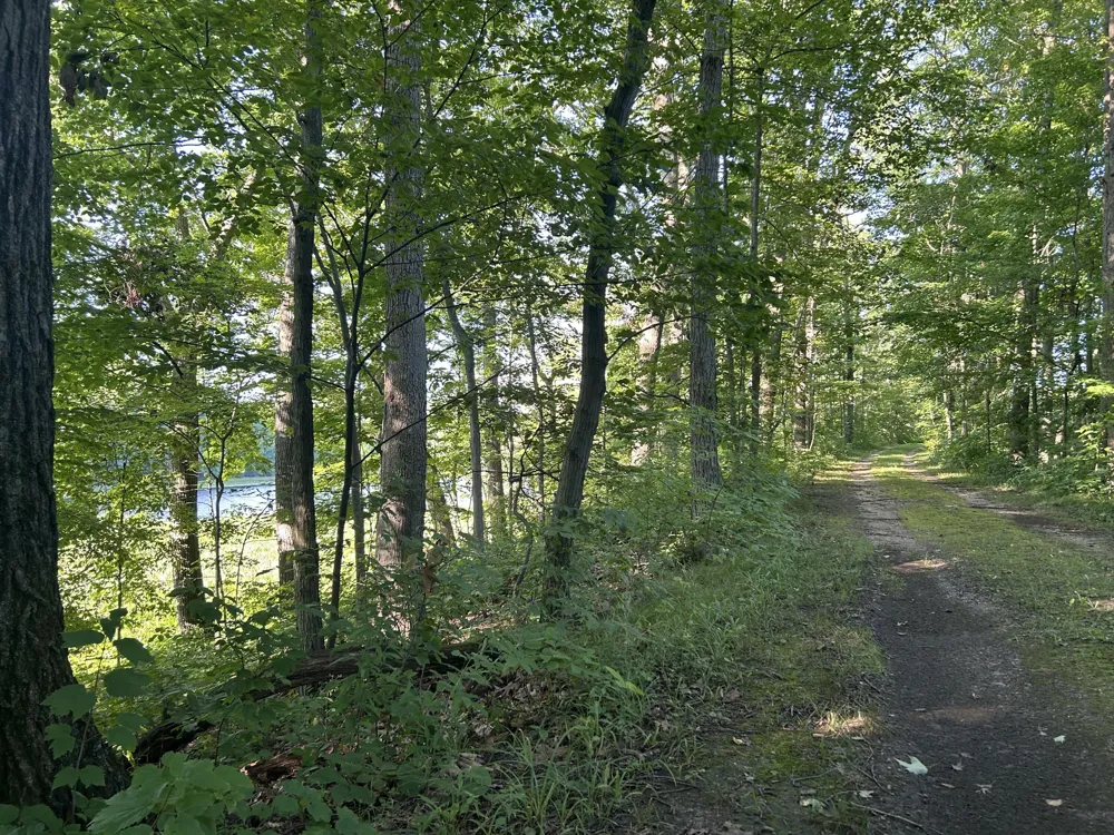5300 Lammers Road Hastings, MI 49058