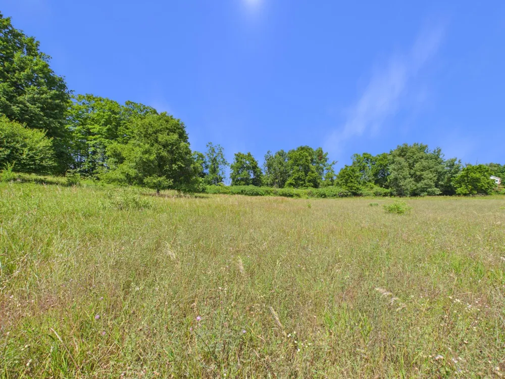 4200 Putnam Road Leelanau Township, MI 49682