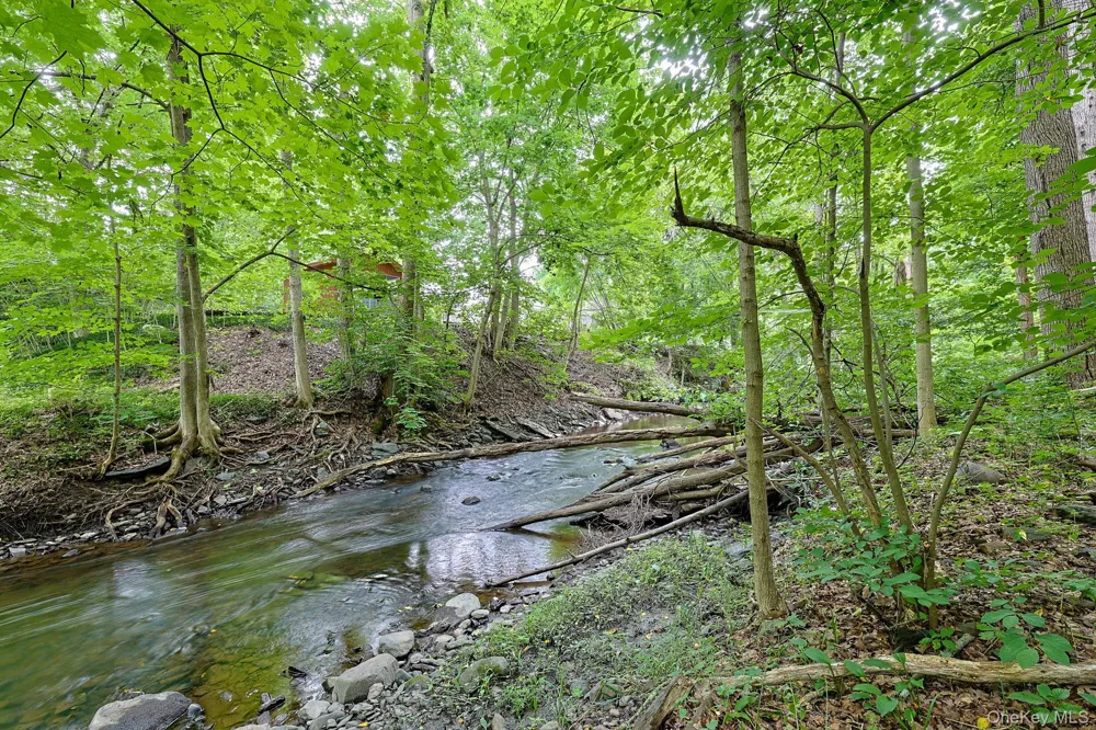 63 Hubshop Road Chester, NY 10918