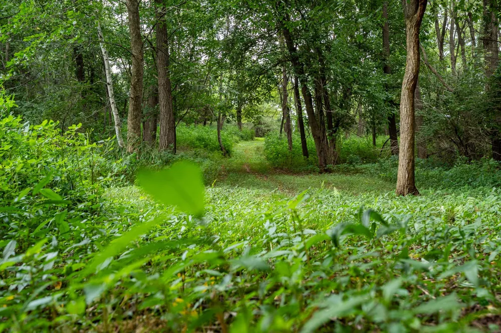 20370 Ostrum Avenue Marine On Saint Croix, MN 55047