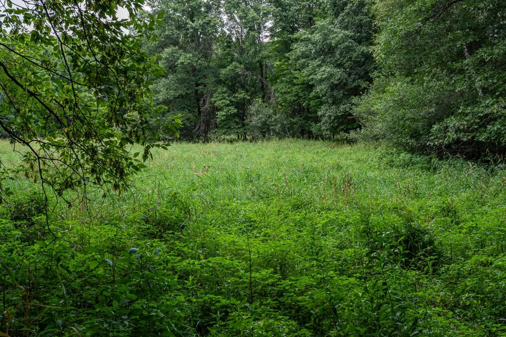 20370 Ostrum Avenue Marine On Saint Croix, MN 55047