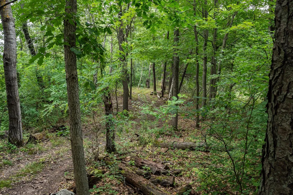 20370 Ostrum Avenue Marine On Saint Croix, MN 55047
