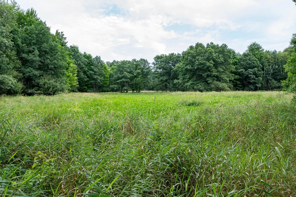 20370 Ostrum Avenue Marine On Saint Croix, MN 55047