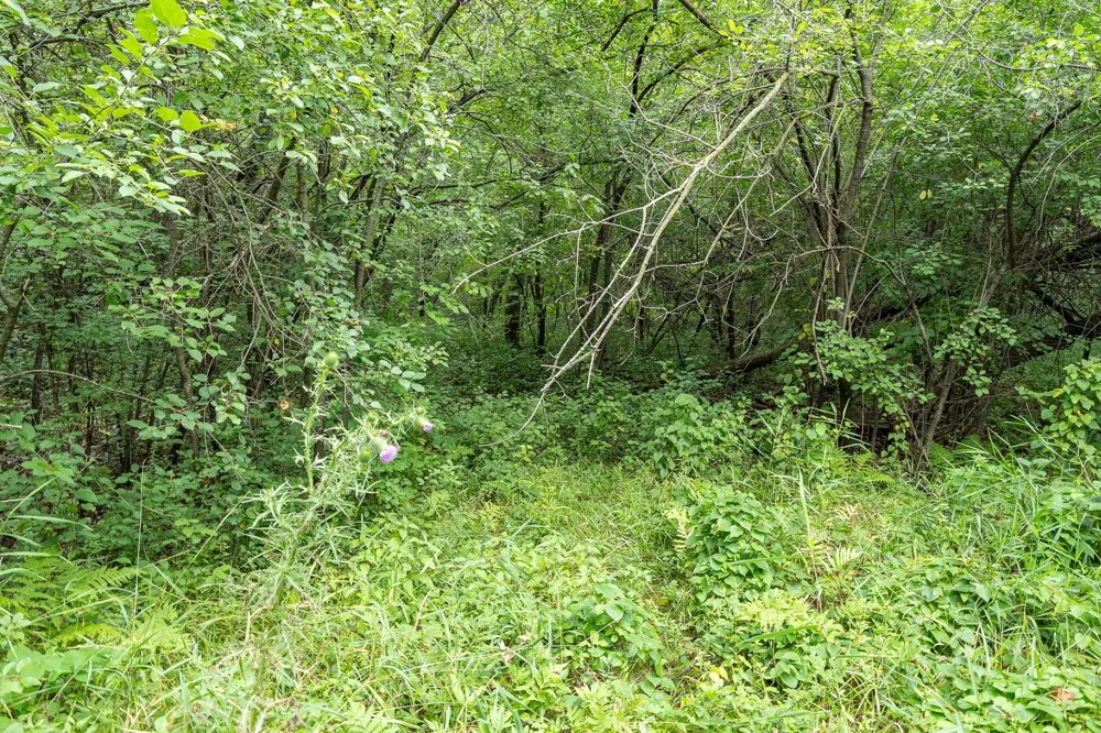 20370 Ostrum Avenue Marine On Saint Croix, MN 55047