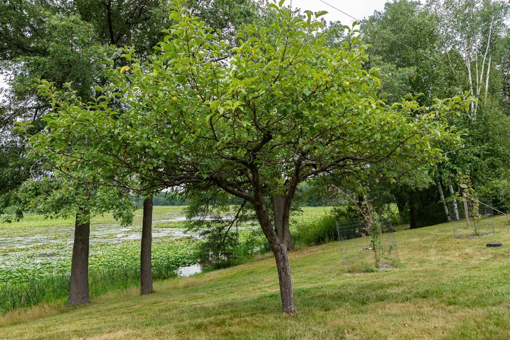 20370 Ostrum Avenue Marine On Saint Croix, MN 55047