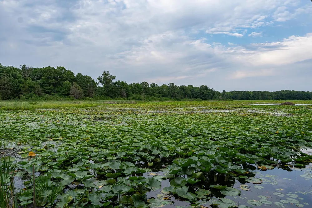 20370 Ostrum Avenue Marine On Saint Croix, MN 55047