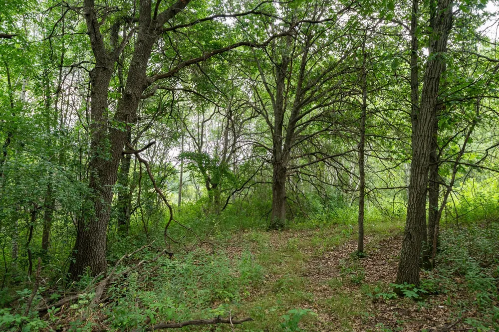 20370 Ostrum Avenue Marine On Saint Croix, MN 55047