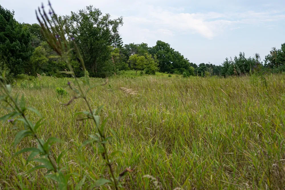 20370 Ostrum Avenue Marine On Saint Croix, MN 55047