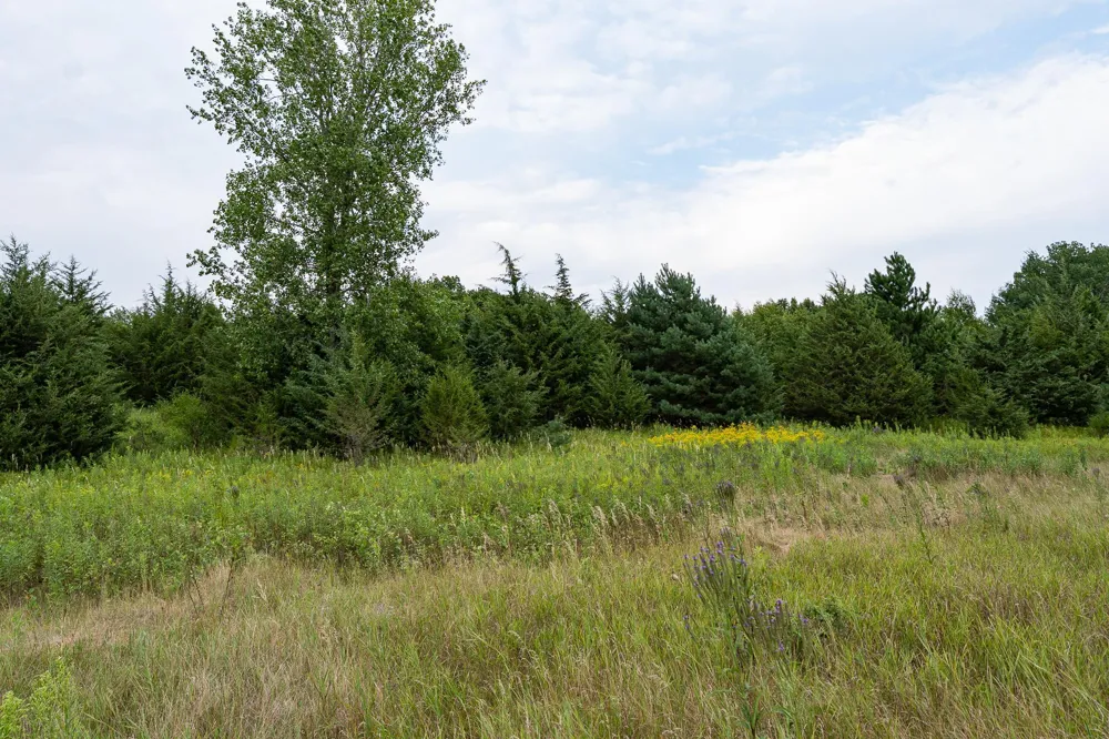 20370 Ostrum Avenue Marine On Saint Croix, MN 55047