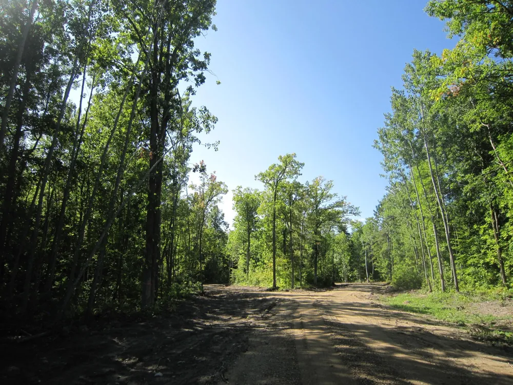 Lot 3 Blk 1 Parklands Lane NW Laporte, MN 56461