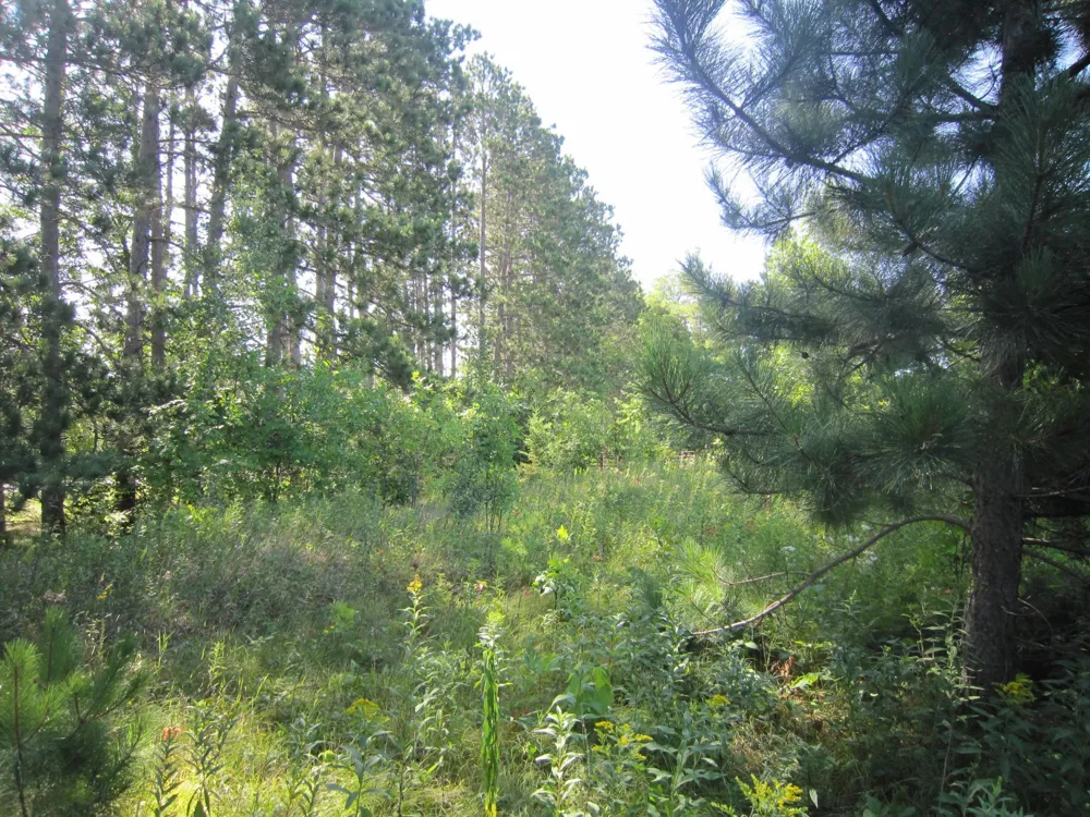 Lot 1, Blk 1 Parklands Lane NW Laporte, MN 56461