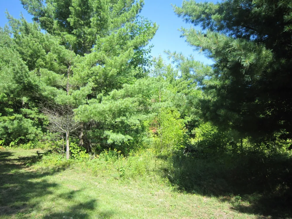 Lot 1, Blk 1 Parklands Lane NW Laporte, MN 56461