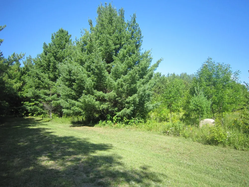 Lot 1, Blk 1 Parklands Lane NW Laporte, MN 56461