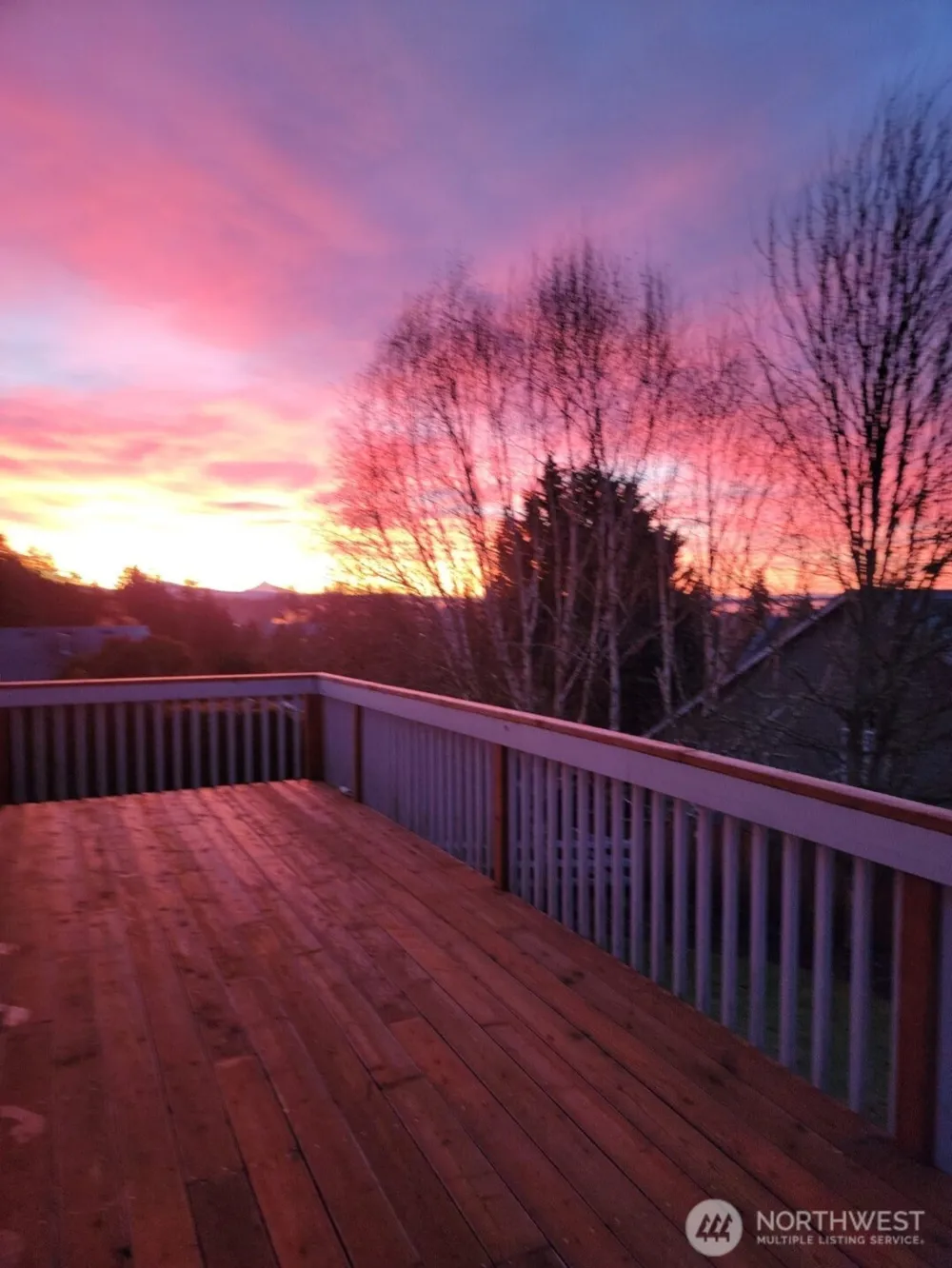 1247 E Pioneer Loop La Center, WA 98629