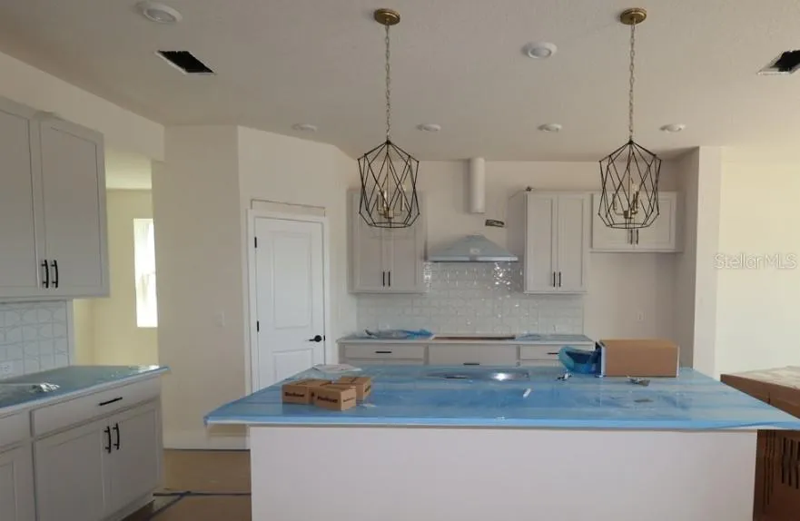 2835 SOLETA VIEW Odessa, FL 33556