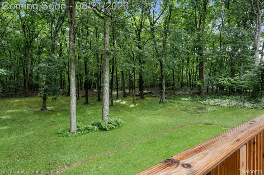 1625 Perry Lake Road Brandon Charter Township, MI 48462