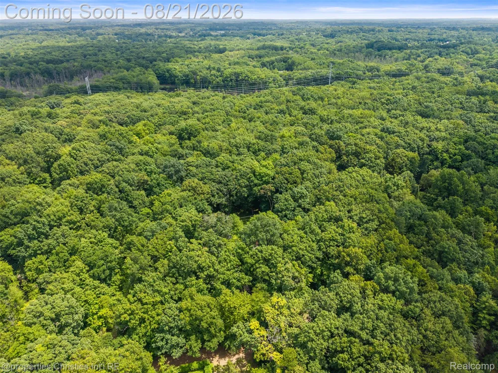1625 Perry Lake Road Brandon Charter Township, MI 48462
