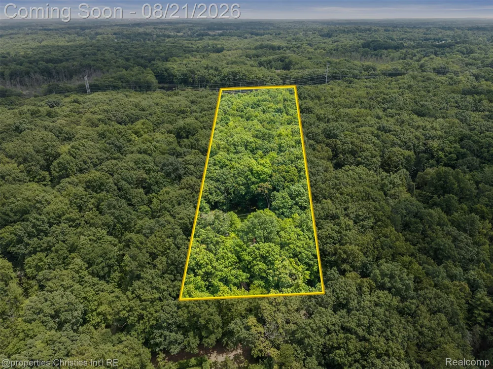 1625 Perry Lake Road Brandon Charter Township, MI 48462