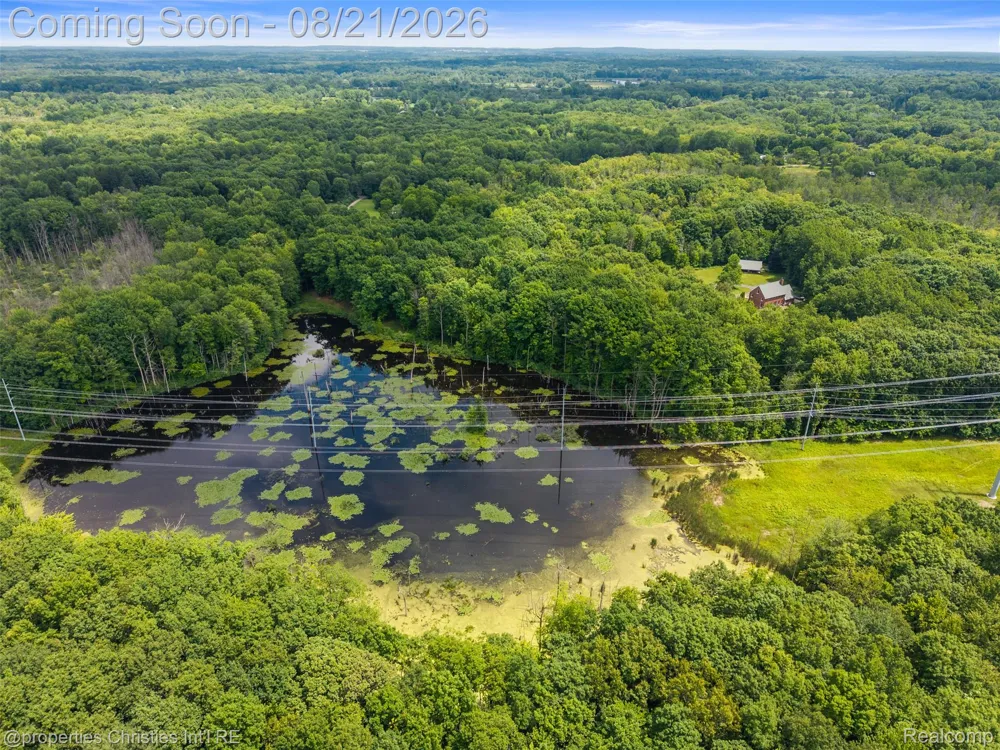 1625 Perry Lake Road Brandon Charter Township, MI 48462