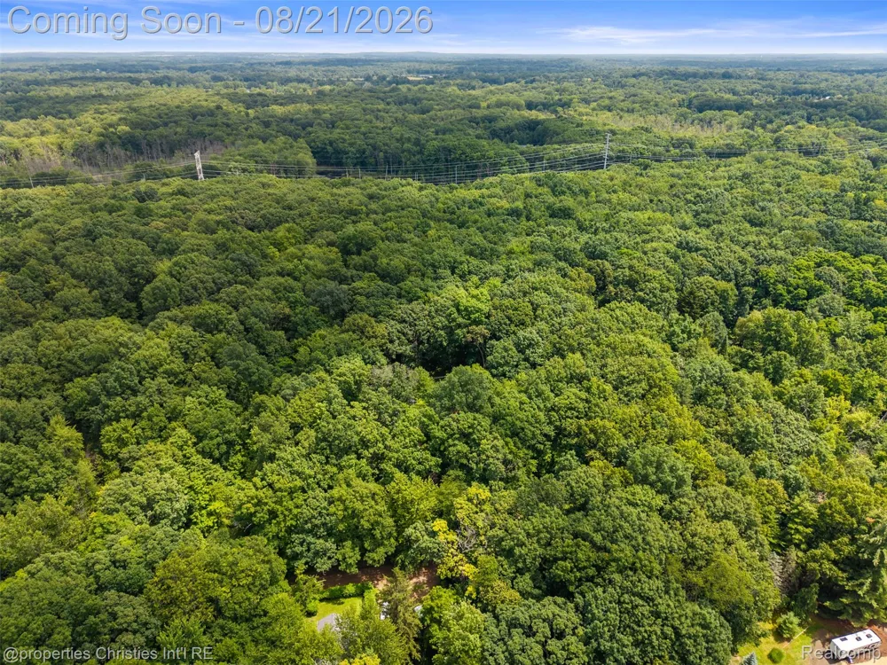 1625 Perry Lake Road Brandon Charter Township, MI 48462