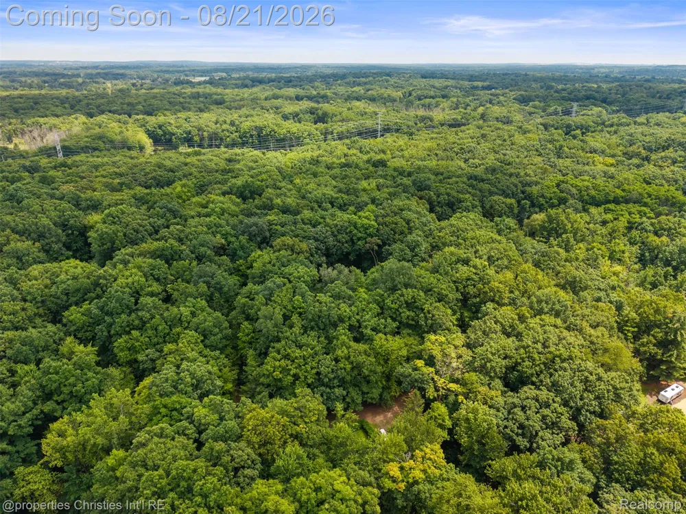1625 Perry Lake Road Brandon Charter Township, MI 48462