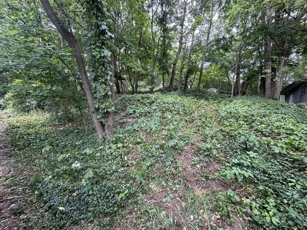 615 Hubert Street NE Grand Rapids, MI 49503