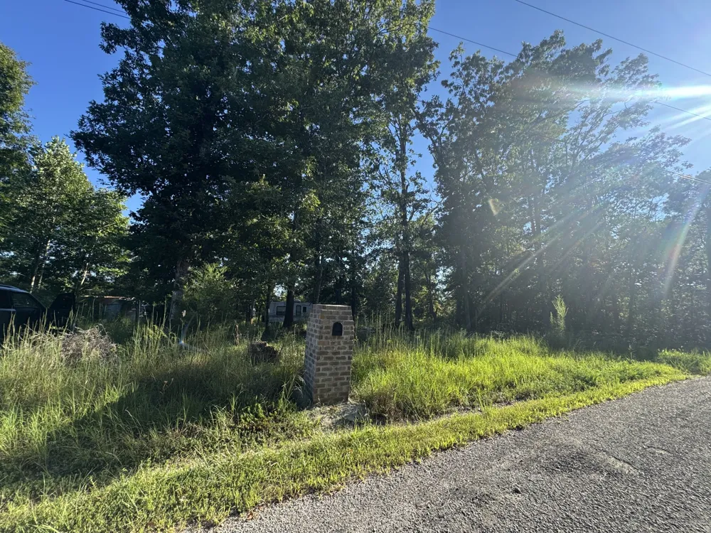 175 Fern Springs Rd Hohenwald, TN 38462