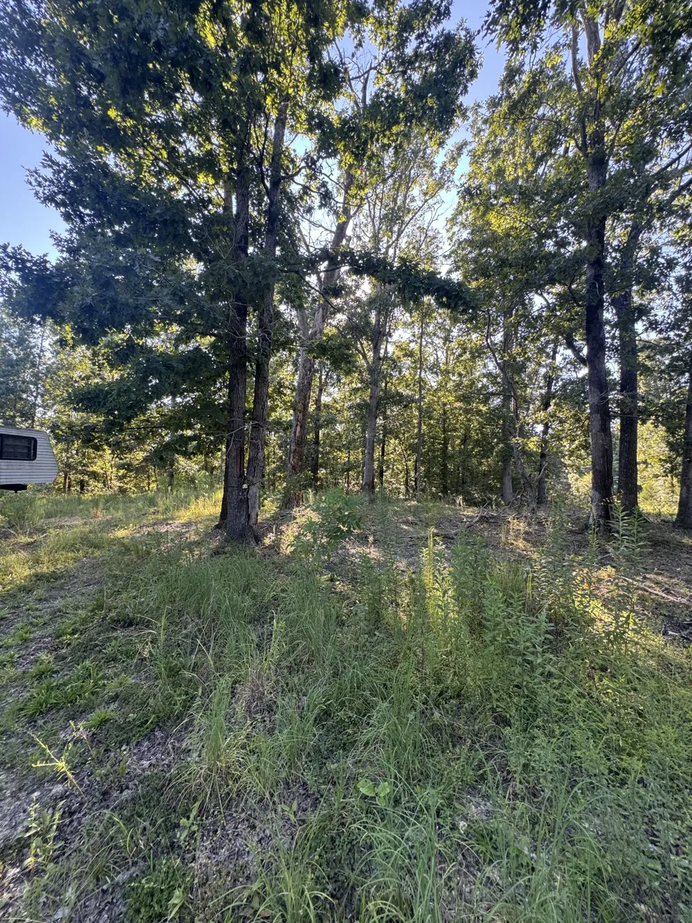 175 Fern Springs Rd Hohenwald, TN 38462