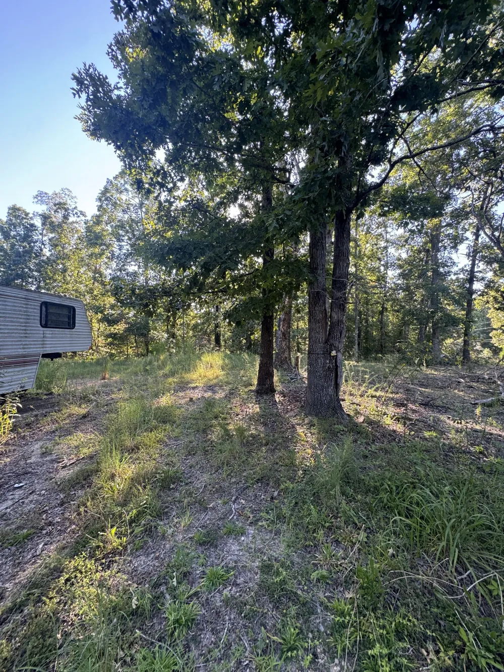 175 Fern Springs Rd Hohenwald, TN 38462