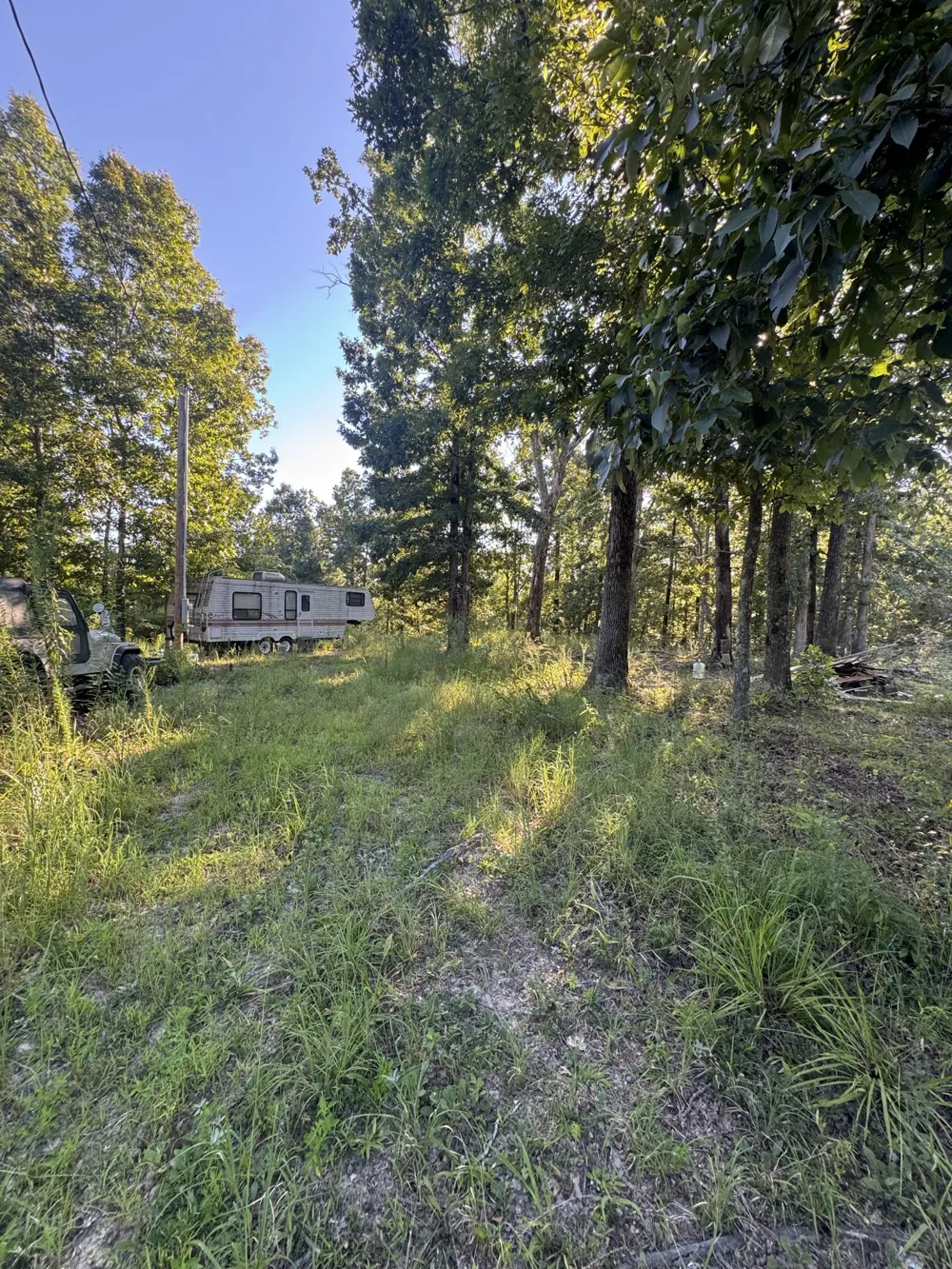 175 Fern Springs Rd Hohenwald, TN 38462