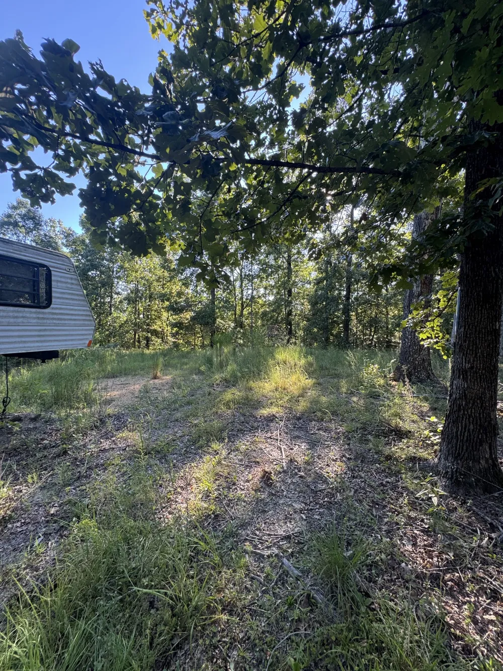 175 Fern Springs Rd Hohenwald, TN 38462