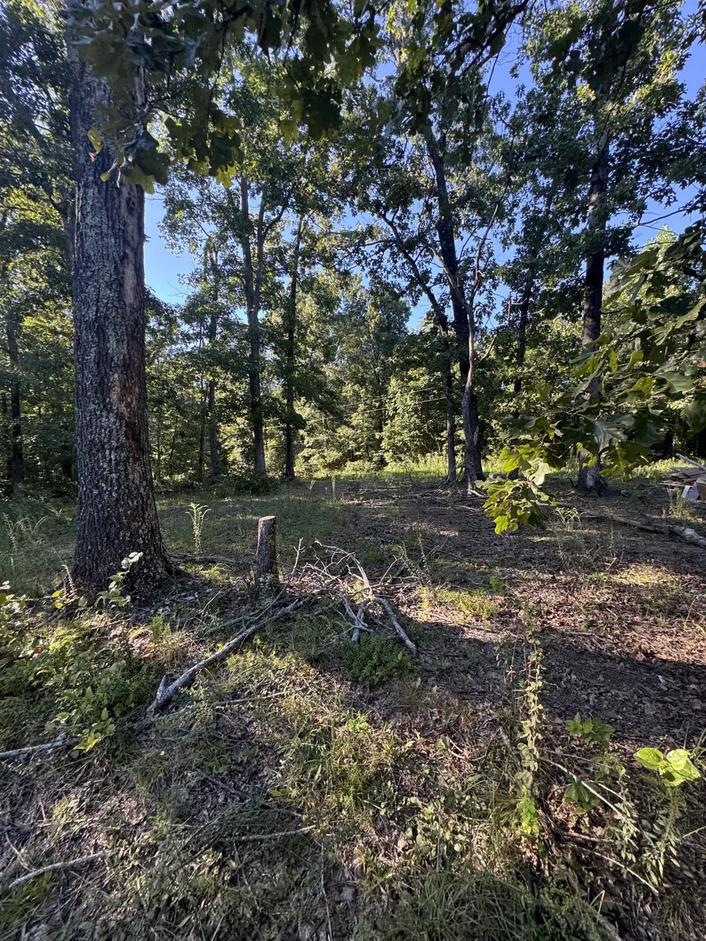 175 Fern Springs Rd Hohenwald, TN 38462