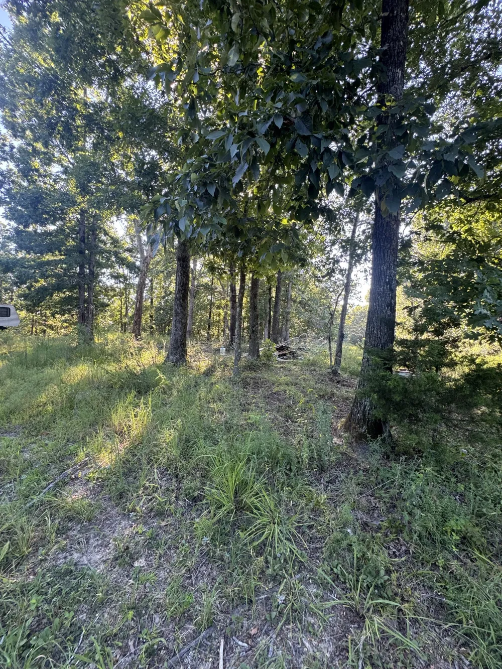 175 Fern Springs Rd Hohenwald, TN 38462
