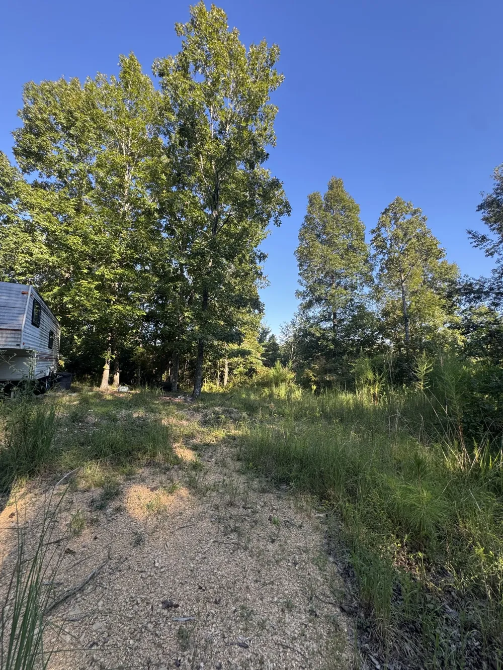 175 Fern Springs Rd Hohenwald, TN 38462