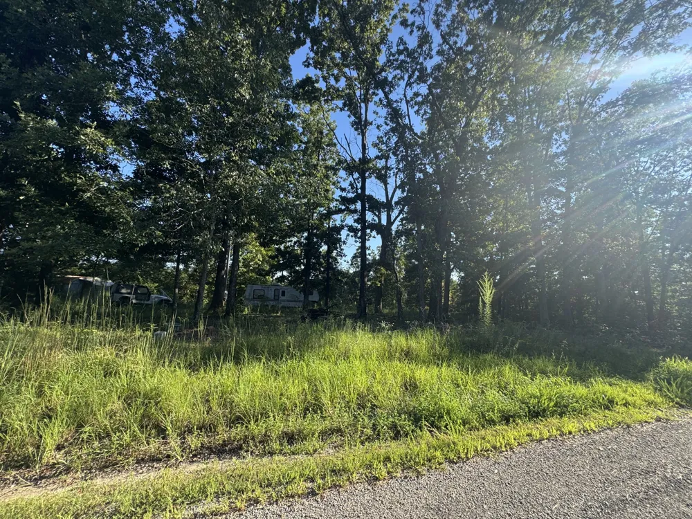 175 Fern Springs Rd Hohenwald, TN 38462