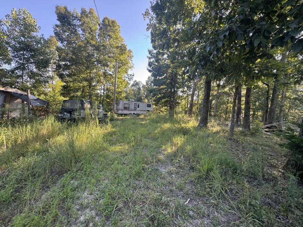 175 Fern Springs Rd Hohenwald, TN 38462