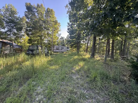 175 Fern Springs Rd