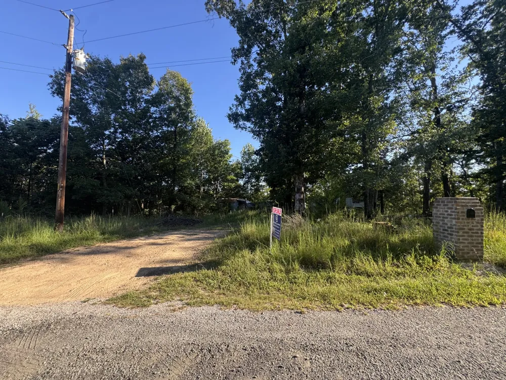 175 Fern Springs Rd Hohenwald, TN 38462