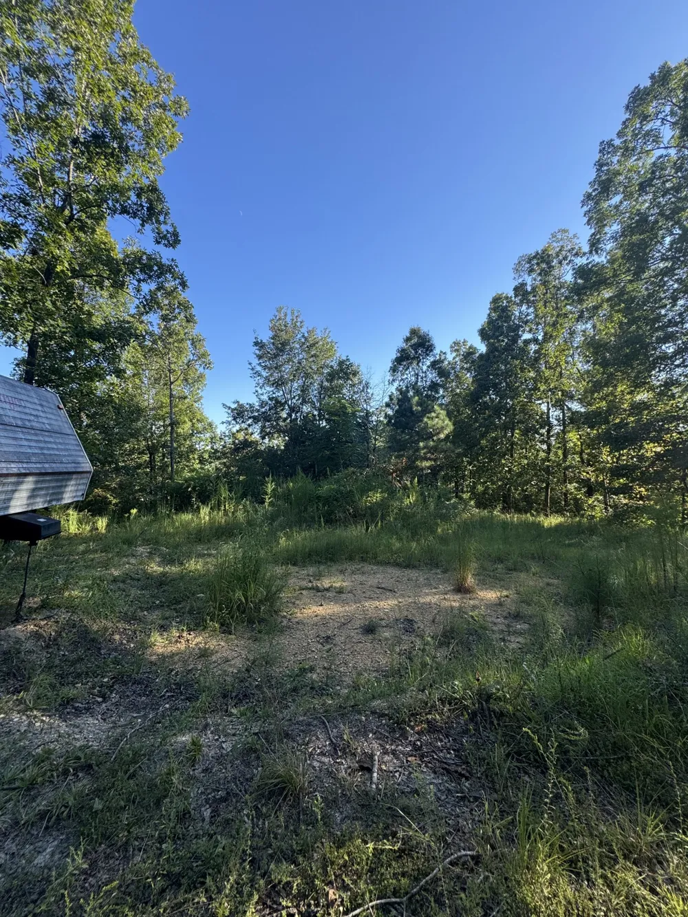 175 Fern Springs Rd Hohenwald, TN 38462