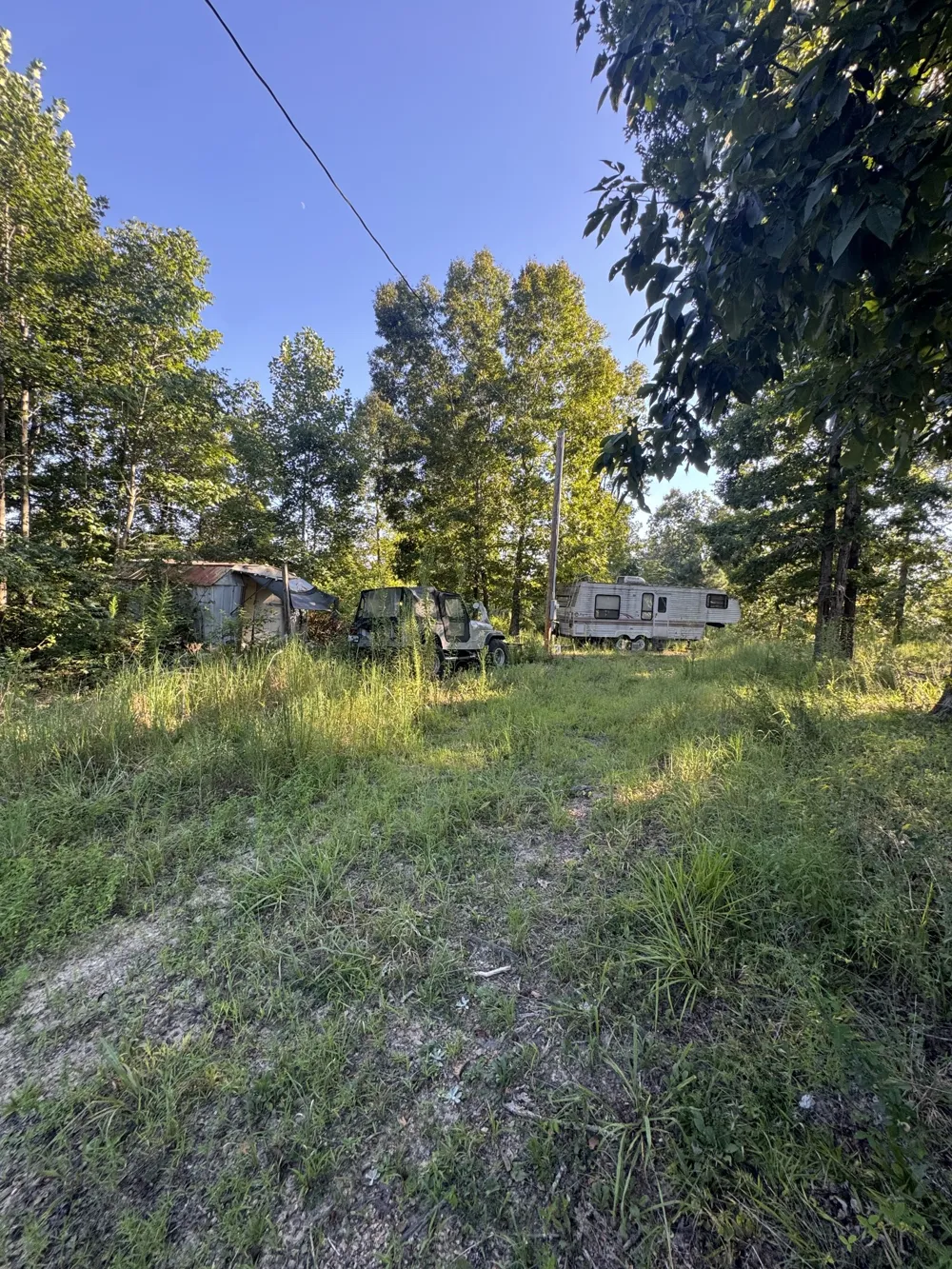 175 Fern Springs Rd Hohenwald, TN 38462