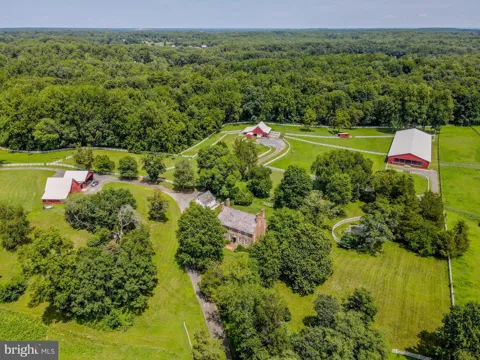 246 MILL SWAMP ROAD