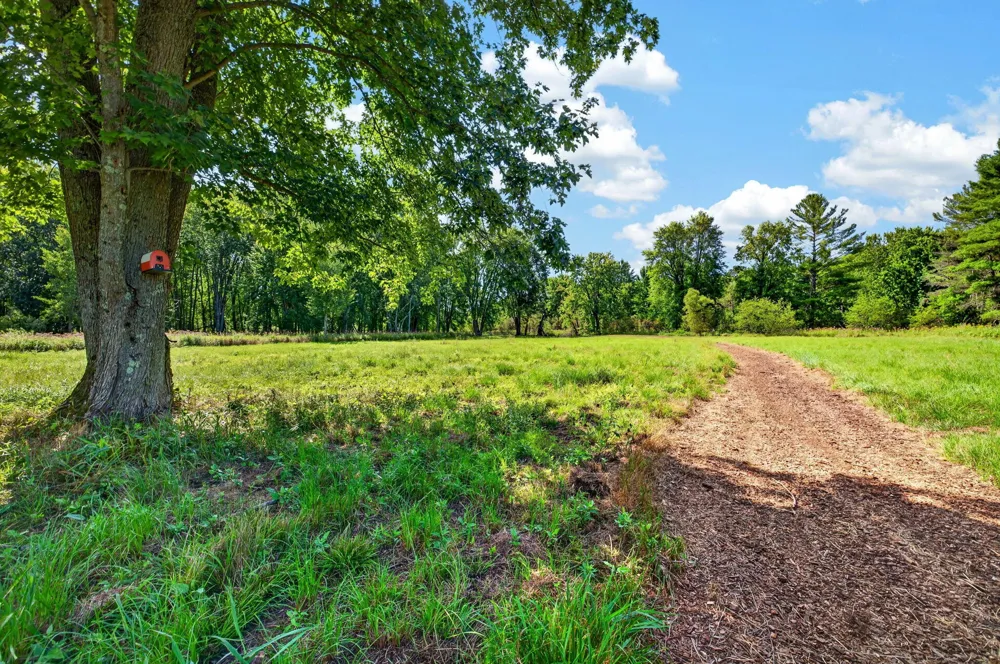5778 E Shores Drive Free Soil, MI 49411