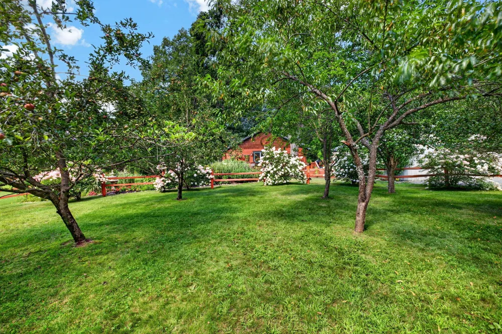 5778 E Shores Drive Free Soil, MI 49411